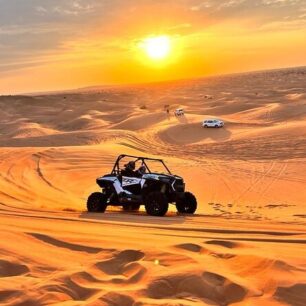 Desert Safari