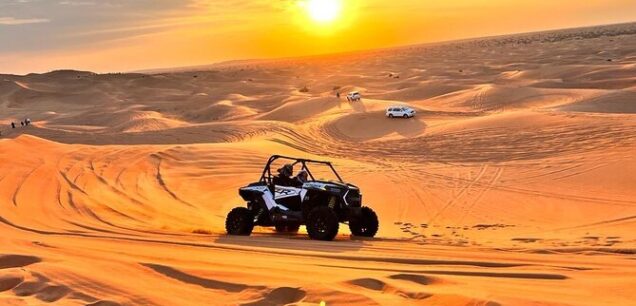 Desert Safari
